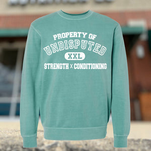 Undisputed Property of Crew
